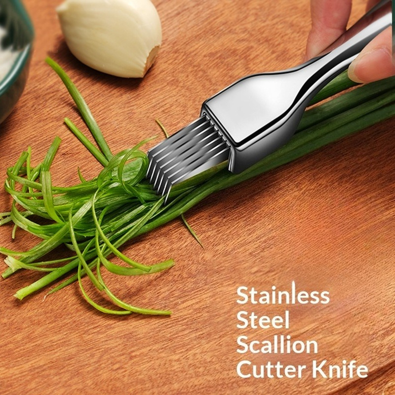 304 Stainless Steel Scallion C - Kitchen Gadgets Cutting Tools 리뷰 및 가격