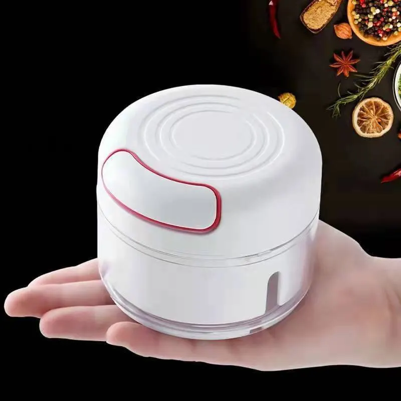 Plastic Garlic Crusher Press V - Kitchen Gadgets Vegetable Cutter 리뷰 및 가격